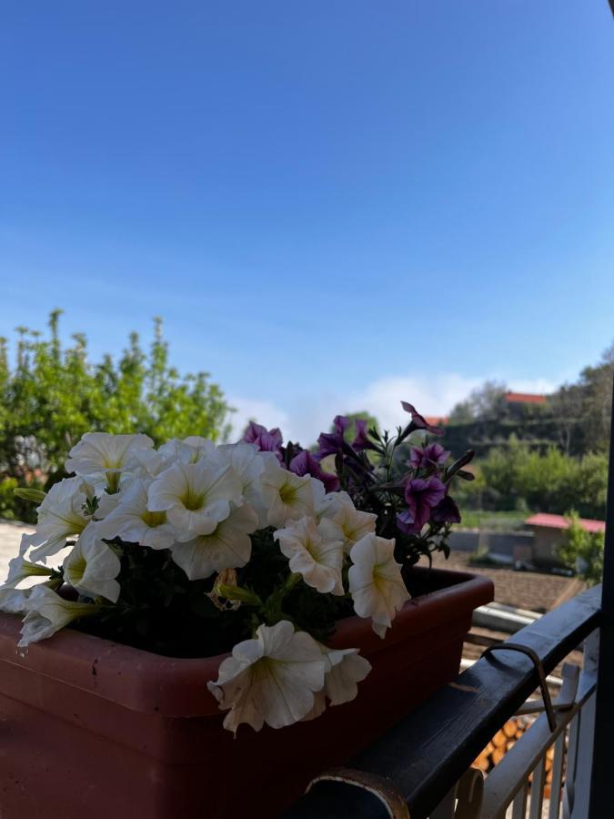 Mamaral Ξενοδοχείο Agerola Εξωτερικό φωτογραφία